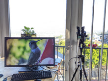 Load image into Gallery viewer, Trinocular, for using a RPi Camera